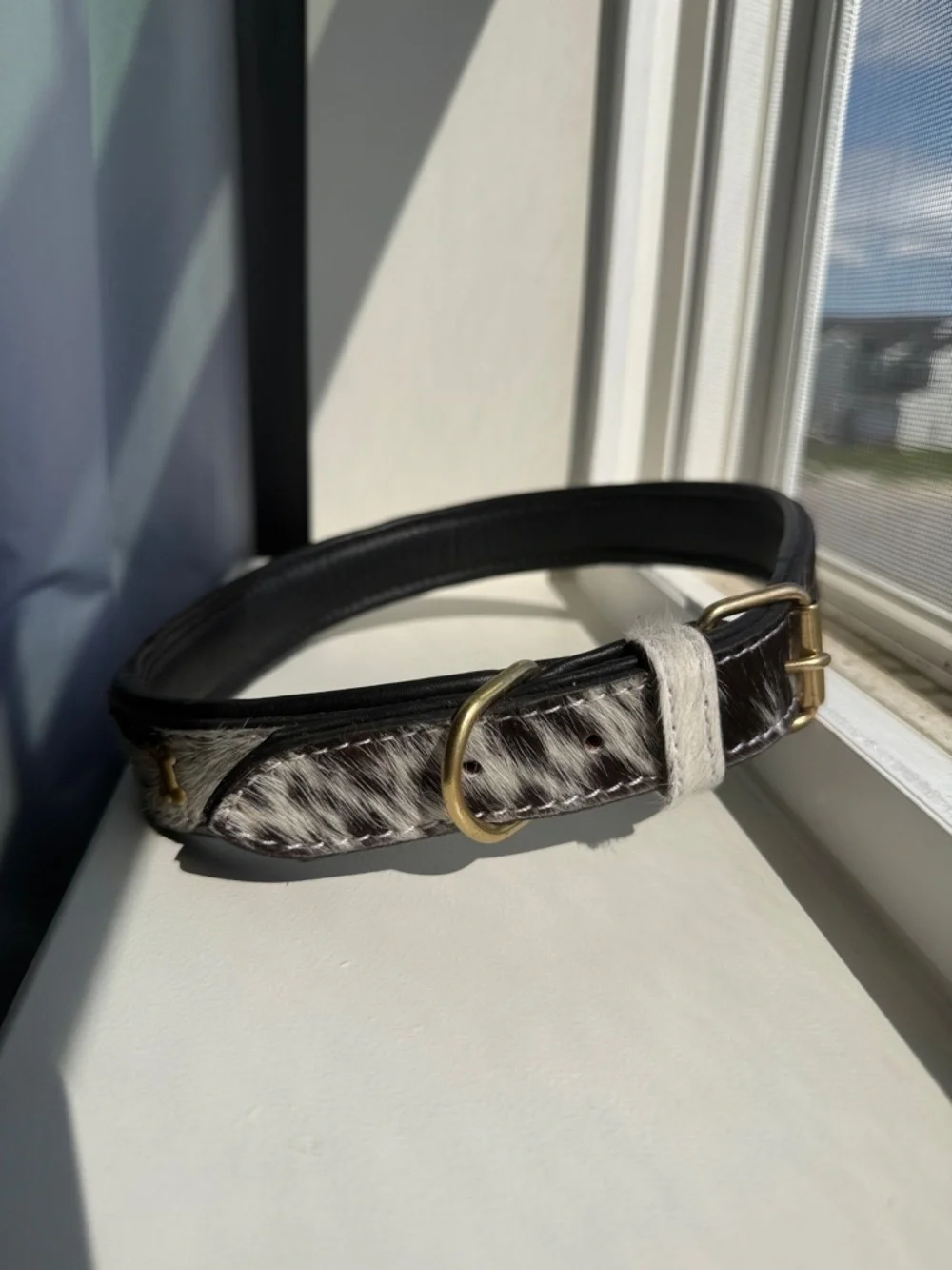 Myra Bag Black and White Cowhide Leather Dog Collar with Gold Hardware